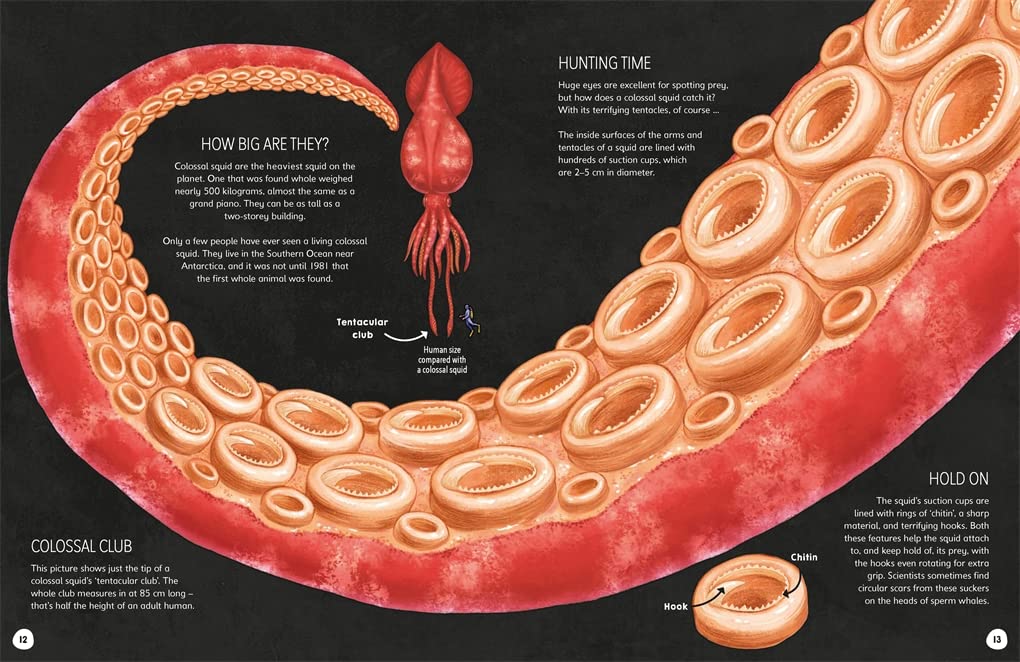 From colossal squid to microscopic snow crystals